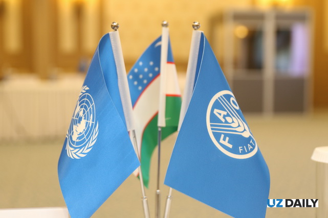 FAO Food Price Index Rises in July on Higher Meat and Vegetable Oil Prices