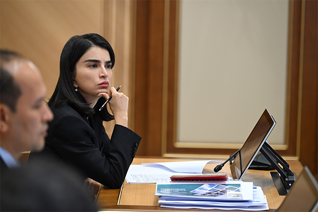 Saida Mirziyoyeva Comments on Measures for Small Business