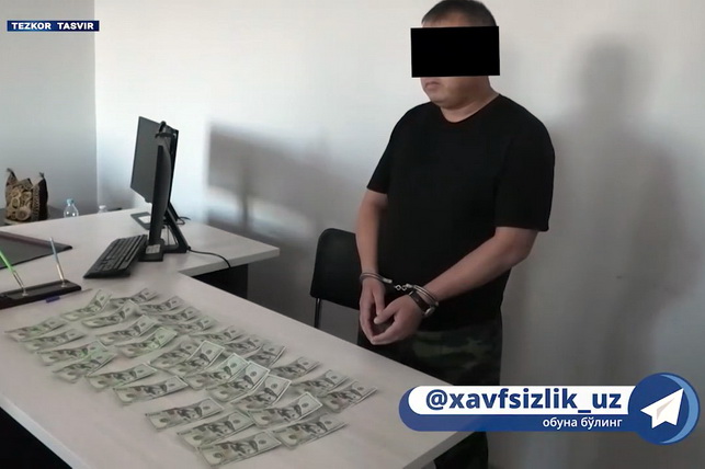 Jizzakh Official Detained for Organizing Illegal Sale of Land Plot