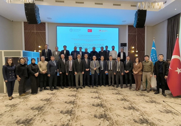 FAO strengthens efforts to combat wheat rust
