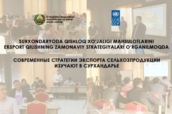 Modern strategies for the export of agricultural products are studied in Surkhandarya
