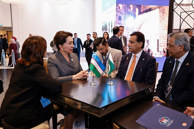 Tanzila Narbayeva Holds Series of Meetings in Istanbul