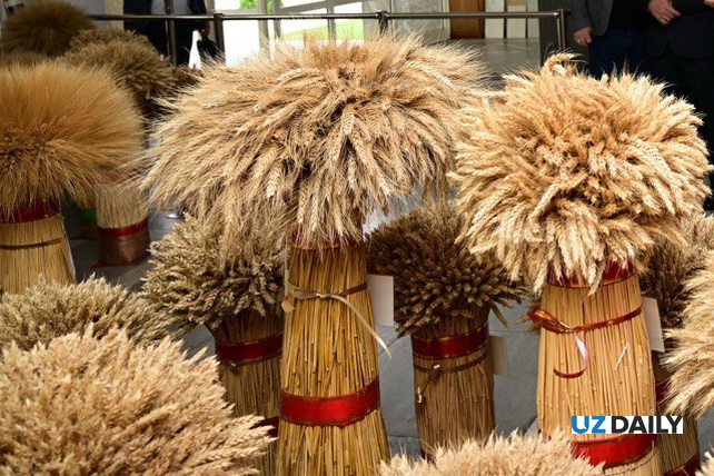 Объем производства зерновых культур в 2025 году превысил 10,1 млн. тонн