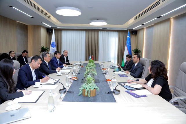 Узбекистан и Турция обсудили развитие сотрудничества в IT-сфере