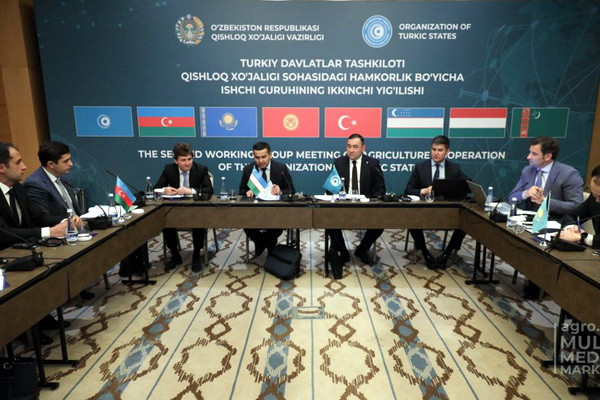 Состоялось 2-е заседание Рабочей группы по сотрудничеству в области сельского хозяйства государств-членов Организации тюркских государств