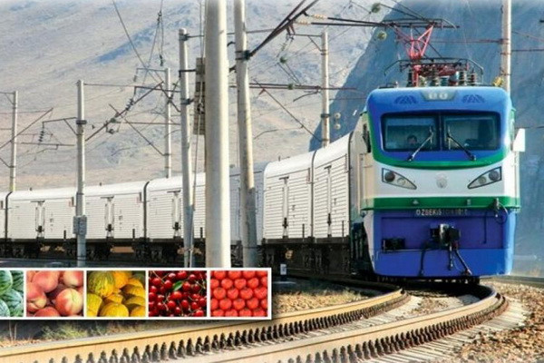 The volume of transport services increased by 8% in Uzbekistan