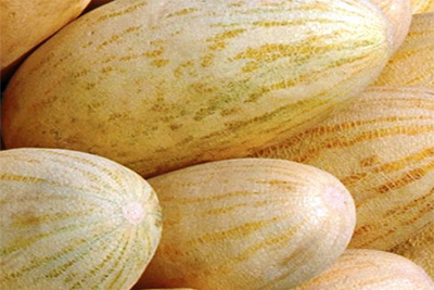 Khiva to host melons fair