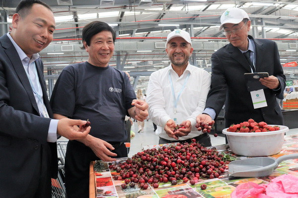 FAO facilitates regional dialogue on sustainable production in Uzbekistan