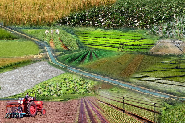The second phase of the project "Development of rural entrepreneurship" starts