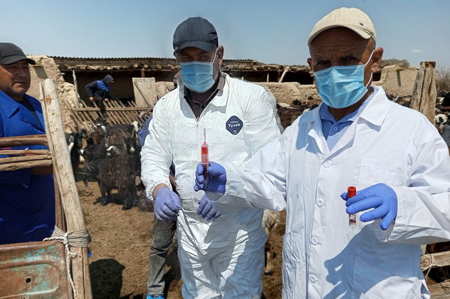 Uzbekistan takes a major step toward PPR eradication through national seromonitoring program