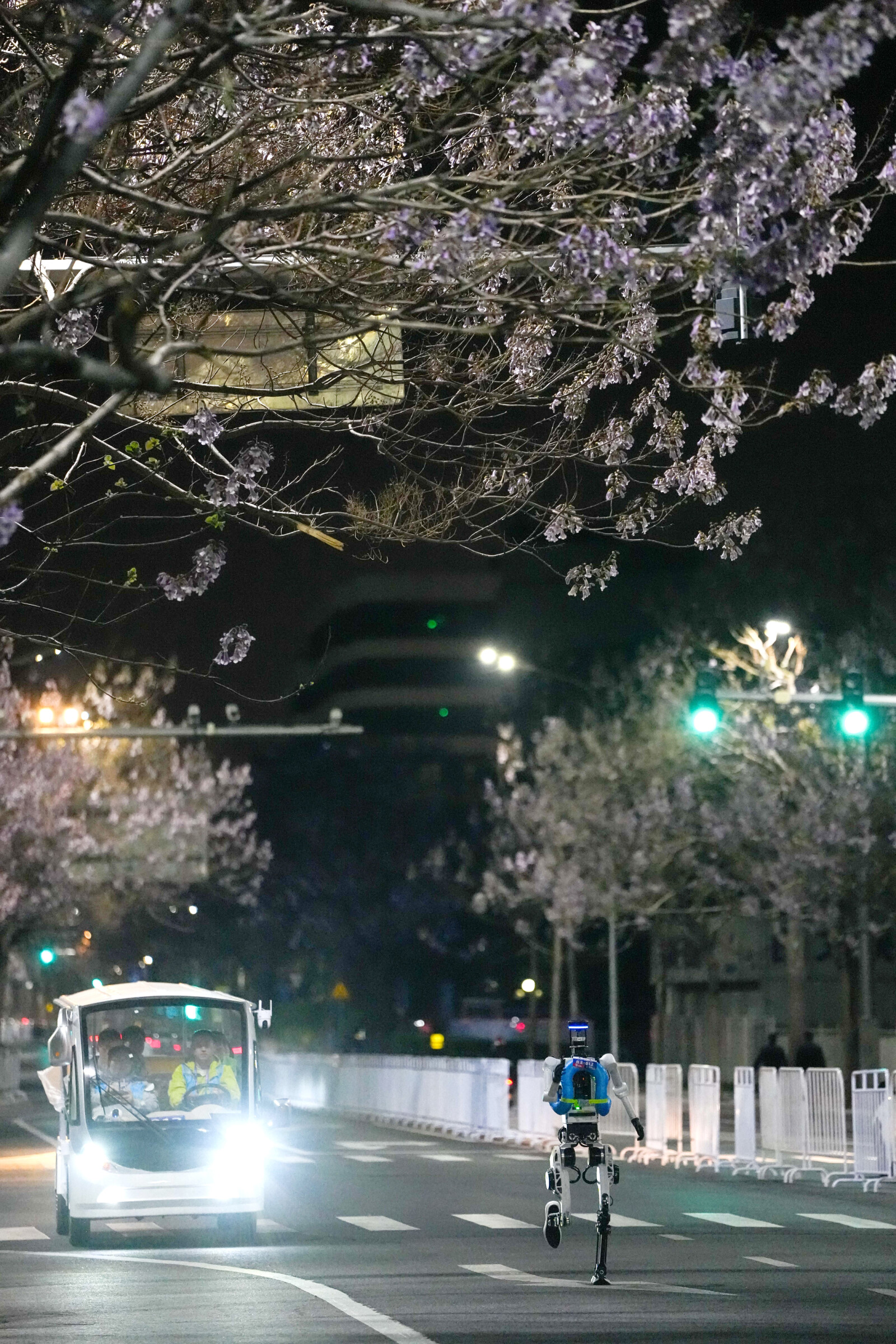 Full-Process, All-Element Test Run Conducted for 2026 Beijing E-Town Humanoid Robot Half-Marathon