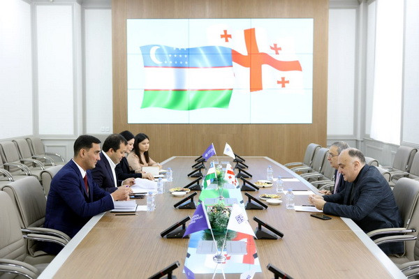 Issues of expanding mutually beneficial cooperation between Uzbekistan and Georgia were discussed