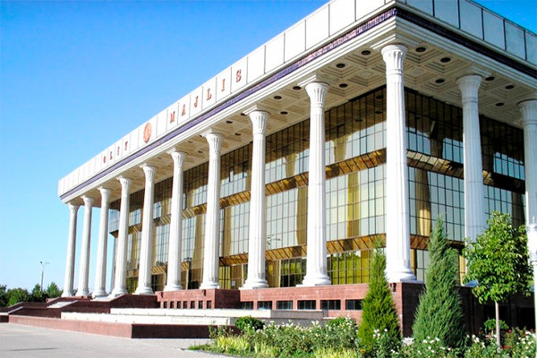 Members of Parliament Heard the Ministry of Health’s Report on the Development of the Healthcare System