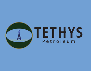Tethys Petroleum проведет геологоразведочные работы на блоке «Байтерек»