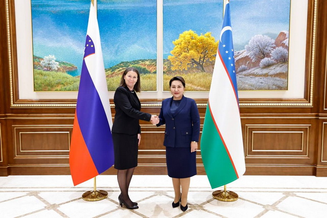 Uzbek Senate, Slovenia Audit Court expand cooperation