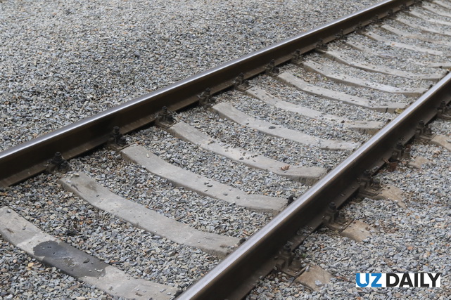 Railway Incident: Rule Violation Leads to Train Striking Woman