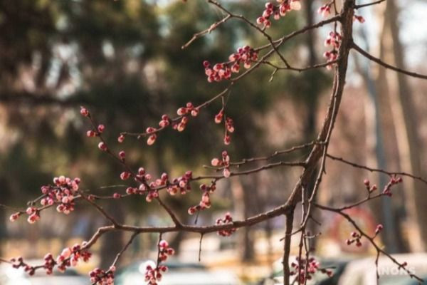 Meteoprog и прогноз погоды: почему стоит использовать сервис