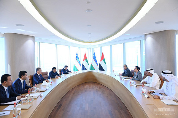 President of Uzbekistan reviews the implementation of infrastructure projects with the SWS