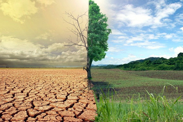 How agriculture to be prepared for climate change