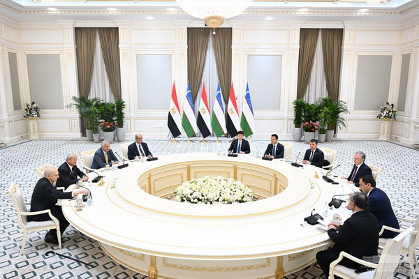 President of Uzbekistan discusses prospects for expanding cooperation with Egyptian business
