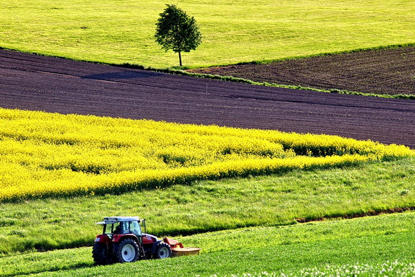 Lease of agricultural land simplified in Uzbekistan