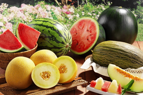 Uzbekistan produces 2.42 million tonnes of melons in 2022