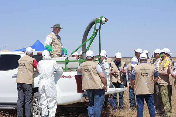 FAO supports the use of biopesticides against locusts in Central Asia and Caucasus