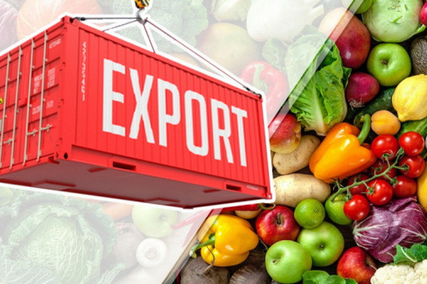 Which region is the leader in the export of fruits and vegetables?