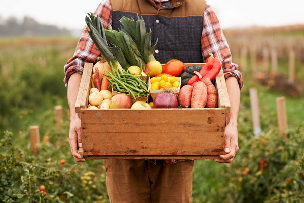 Uzbekistan to supply over 200,000 tons of agricultural products to Siberian Federal District of Russia