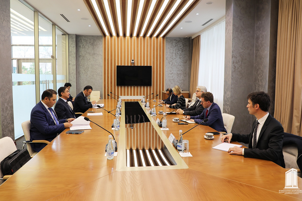 Deputy Prime Minister holds meeting with representatives of the French Development Agency