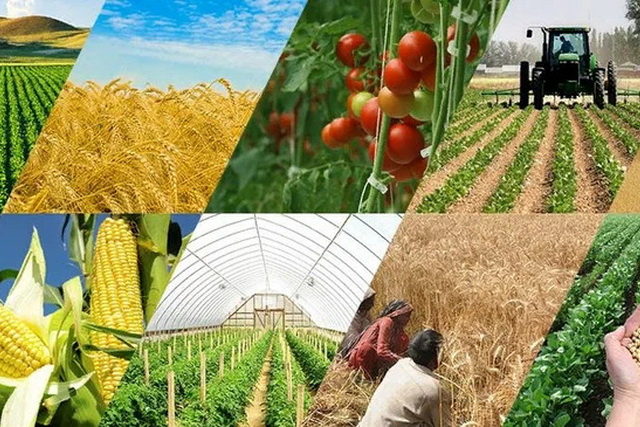 Agency for Agricultural Development to be established in Uzbekistan