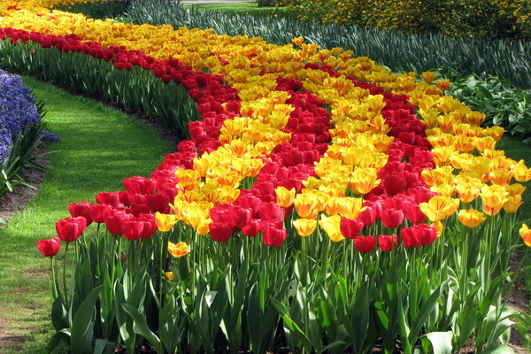 Namangan to host 65th International Flower Festival