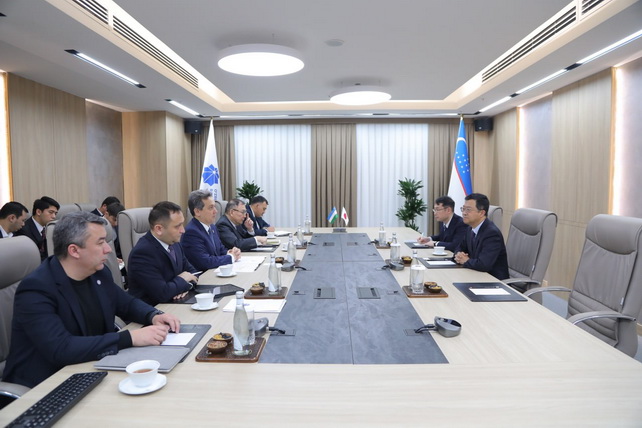 Uzbekistan and Japan Agree to Expand Cooperation in Digital Technologies