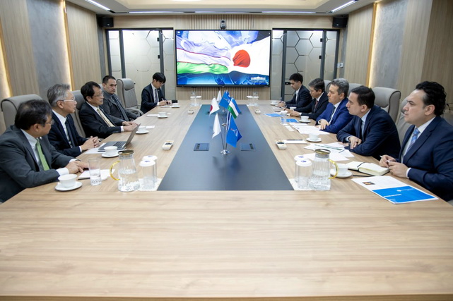 Обсуждены возможности реализации совместных проектов и программ в области IT-образования с японскими университетами