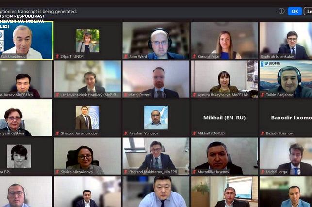 В Узбекистане прошёл вебинар по «зелёному» бюджетированию и целям устойчивого развития