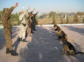 Инструкторы-кинологи пограничных и таможенных служб из стран Центральной Азии прошли обучение в Ташкенте