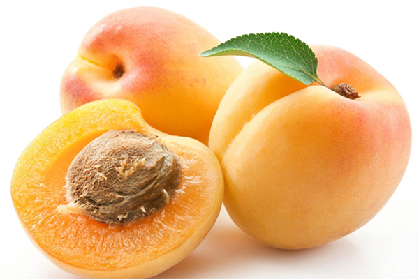 Uzbekistan Exported 23.4 Thousand Tons of Apricots to 14 Countries