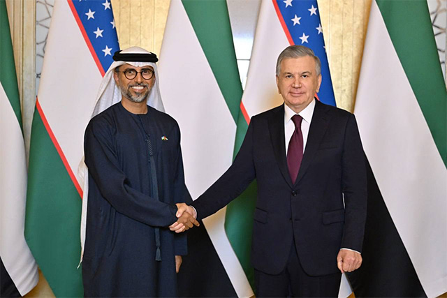 President of Uzbekistan discusses implementation of major energy projects with the UAE