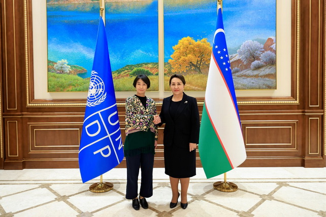 Uzbek Senate and UNDP Discuss Gender Reforms and Anti-Corruption Measures