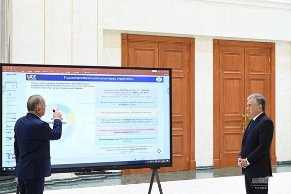 Issues of improving energy supply considered