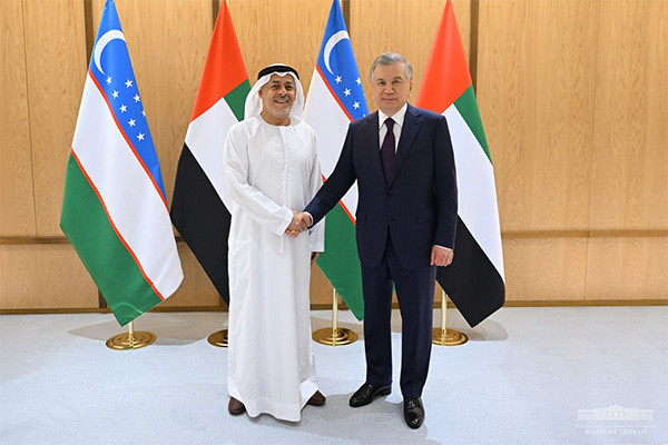 President of Uzbekistan discussed plans for cooperation with Amea Power