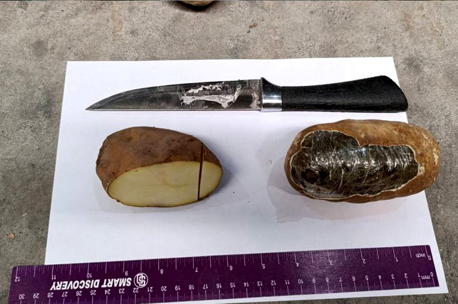 Hashish Smuggling Foiled in Surkhandarya Disguised as Potatoes