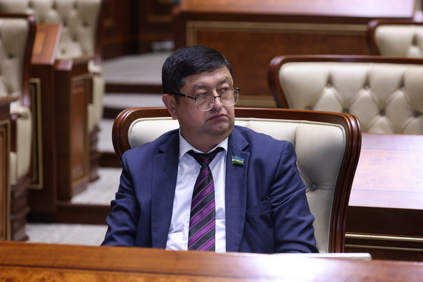 Why did the senators reject the Subsoil Law?