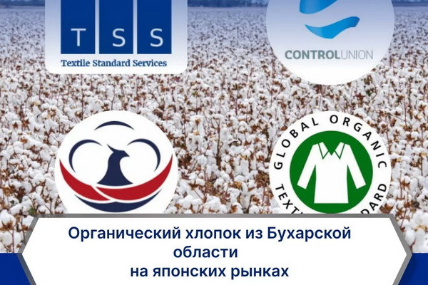 Organic cotton from Bukhara region introduced to Japanese markets