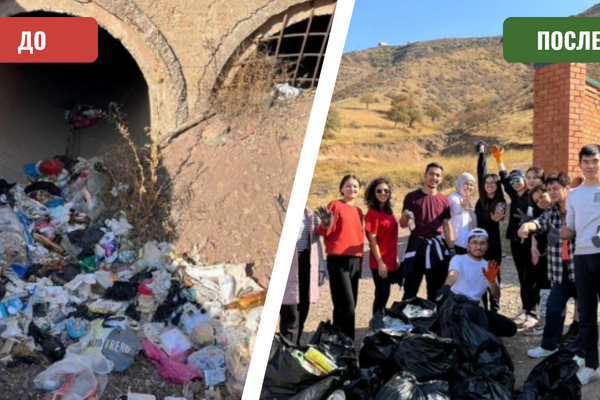 Как телеграм-бот от Дирекции ТРЗ «Чарвак» помогает улучшить экологию Бостанлыкского района?