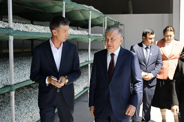 Uzbek President visits a silk industry enterprise