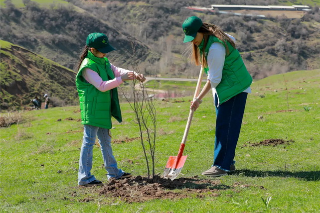 Uzbekistan Launches Incentives for National Greening Project