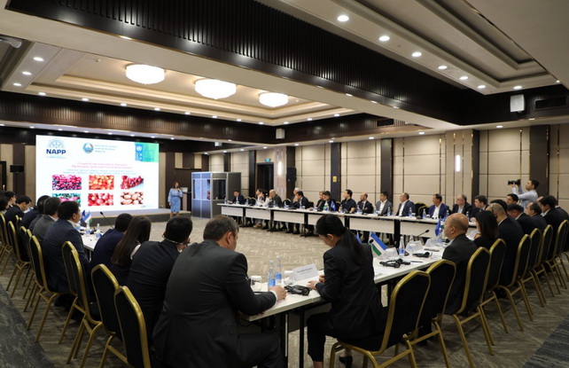 New Crop insurance programs launched for farmers in Uzbekistan