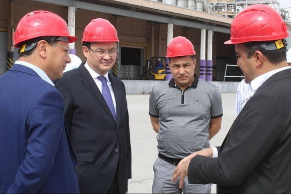 The delegation of Kazakhstan studies the potential of the Shurtan gas chemical complex
