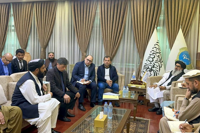 Uzbek delegation discusses healthcare cooperation with Afghanistan